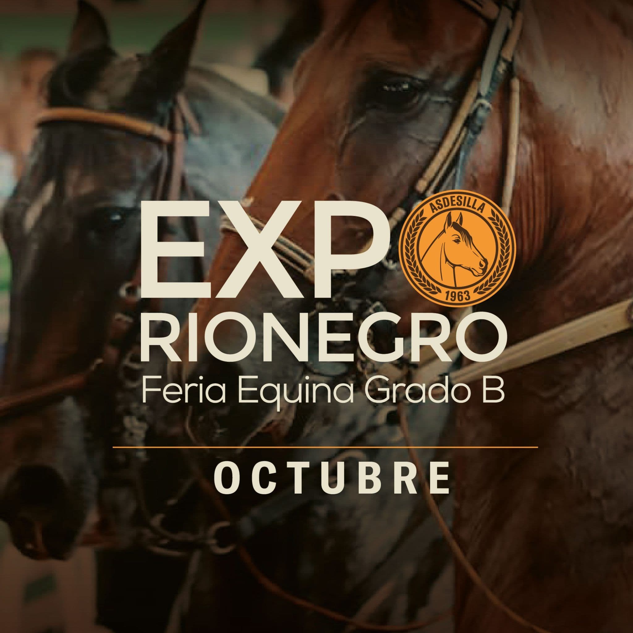 Expo Rionegro - Feria Equina Grado B