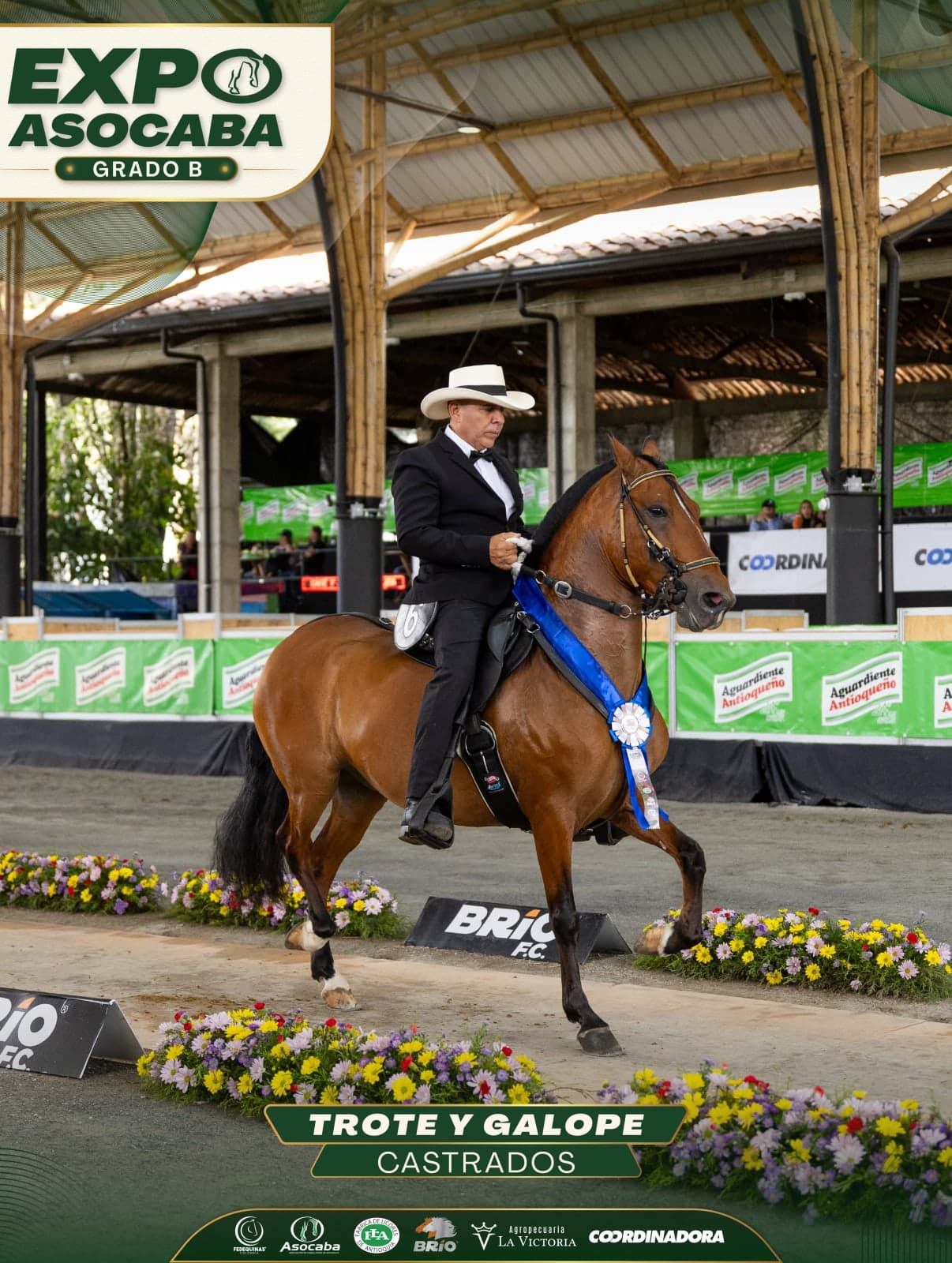 Rey Soberano de Finca San Jorge