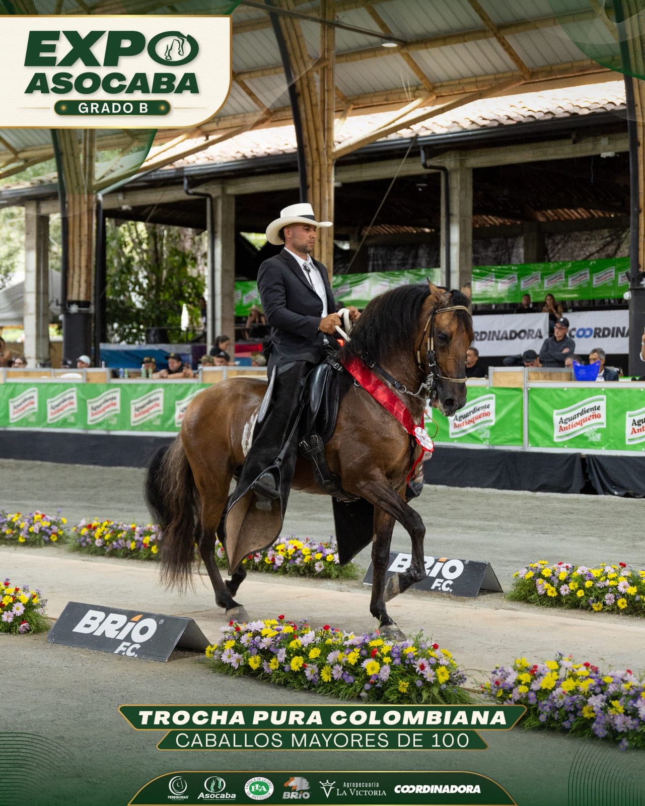 Consorcio de Doble A