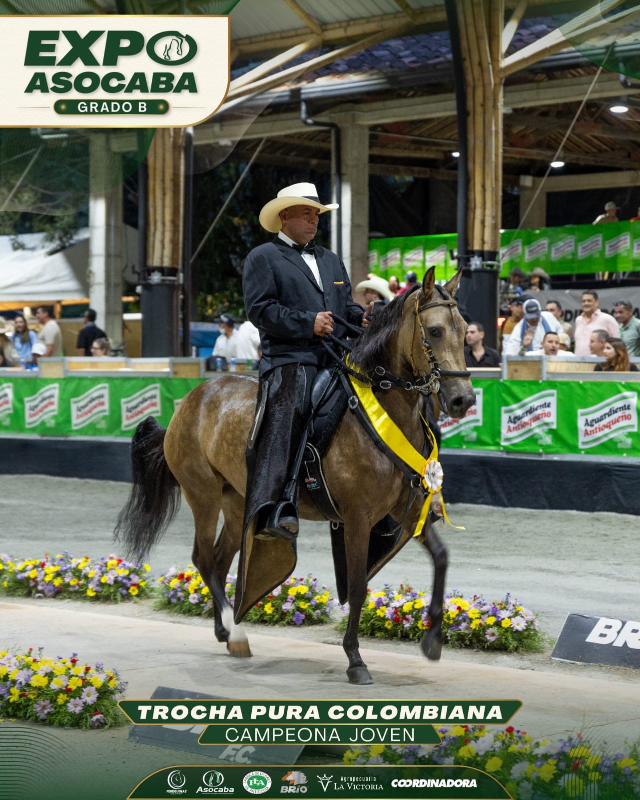 Macarena de Palma Seca