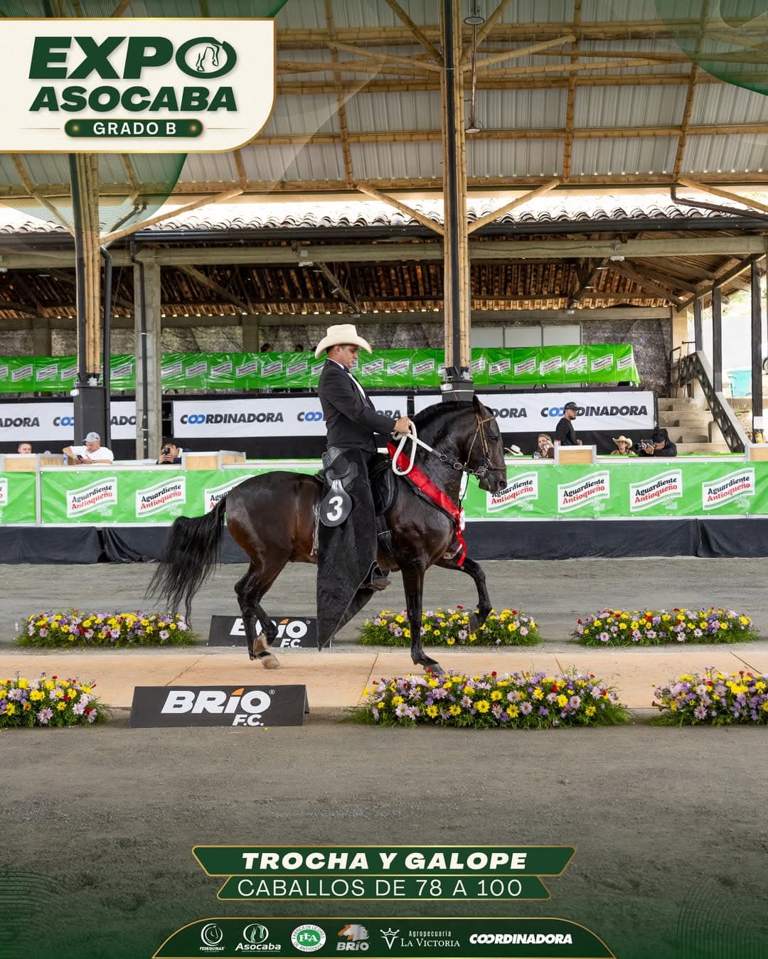 Oponente de Campo Alegre