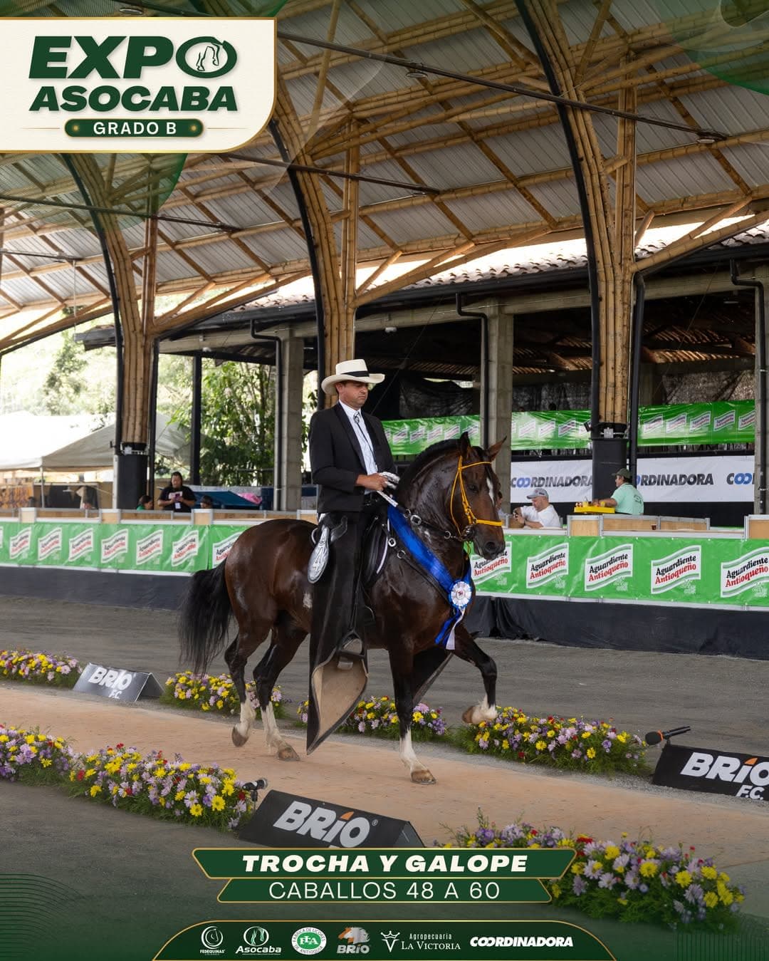 Lirio Blanco de F.G. Familia Garay