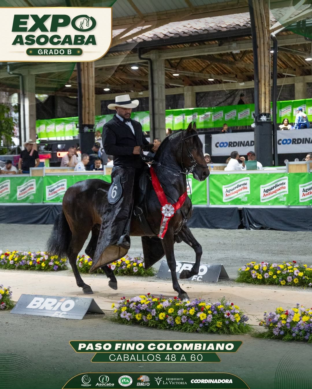 Don Silvestre de Hacienda Heinsen