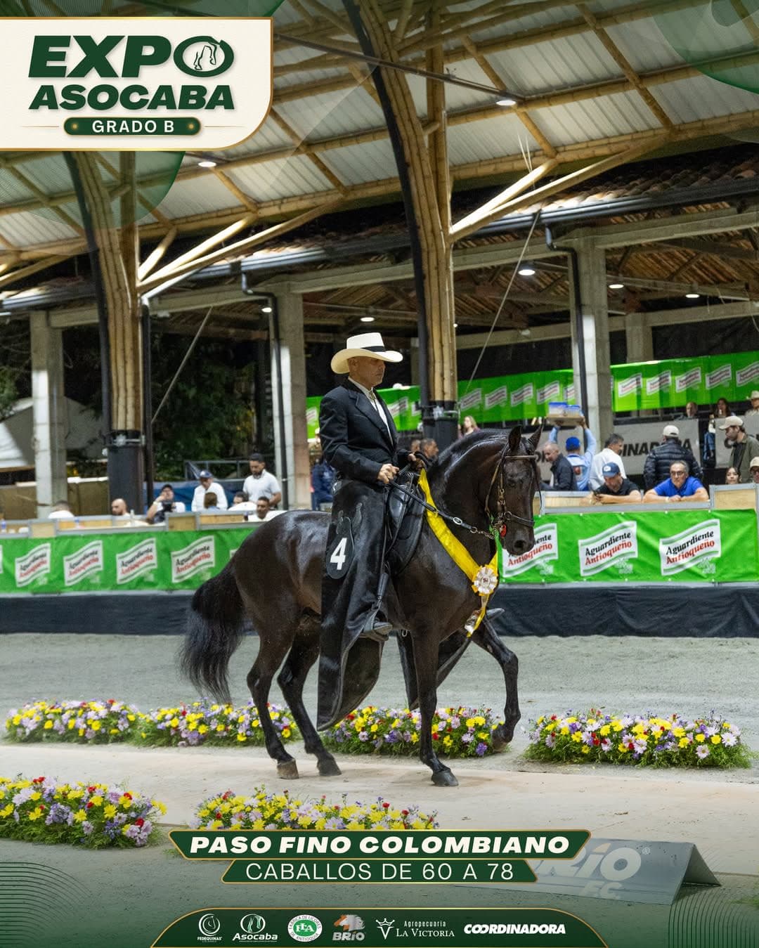 Cardioversor D´Galeno