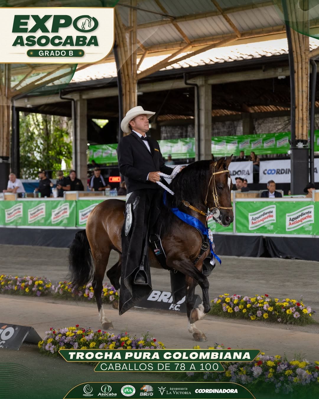 Ámbar de La Esmeralda