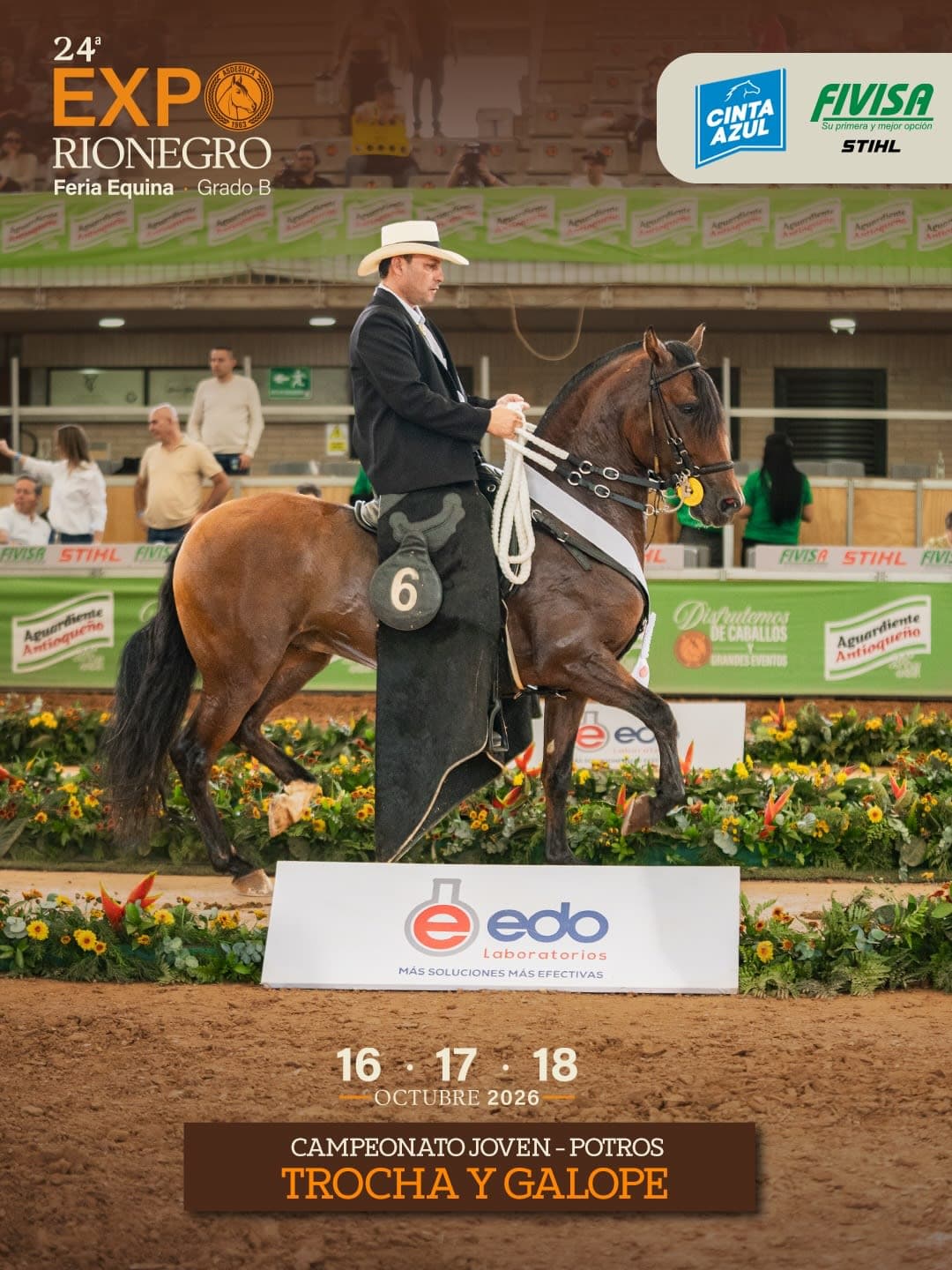 Invicto de Haras de la Fe