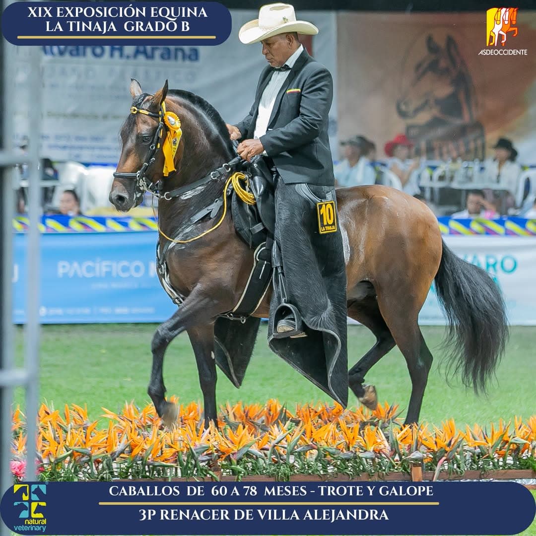 Renacer de Villa Alejandra