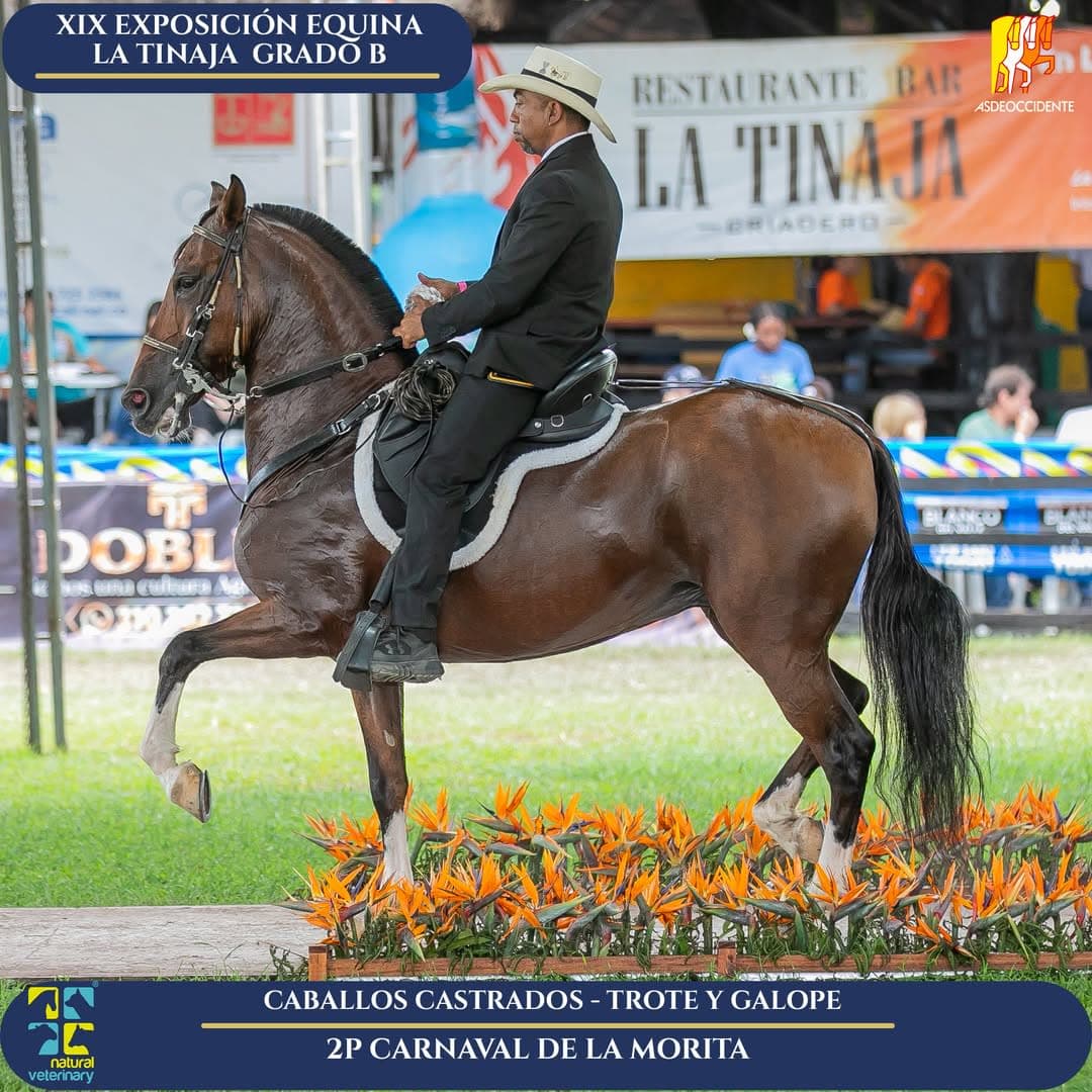 Carnaval de la Morita