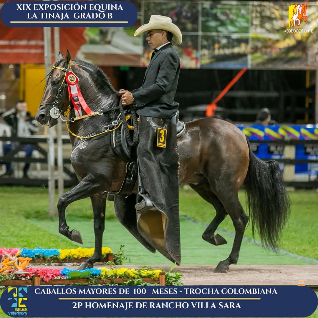 Homenaje de Rancho Villa Sara