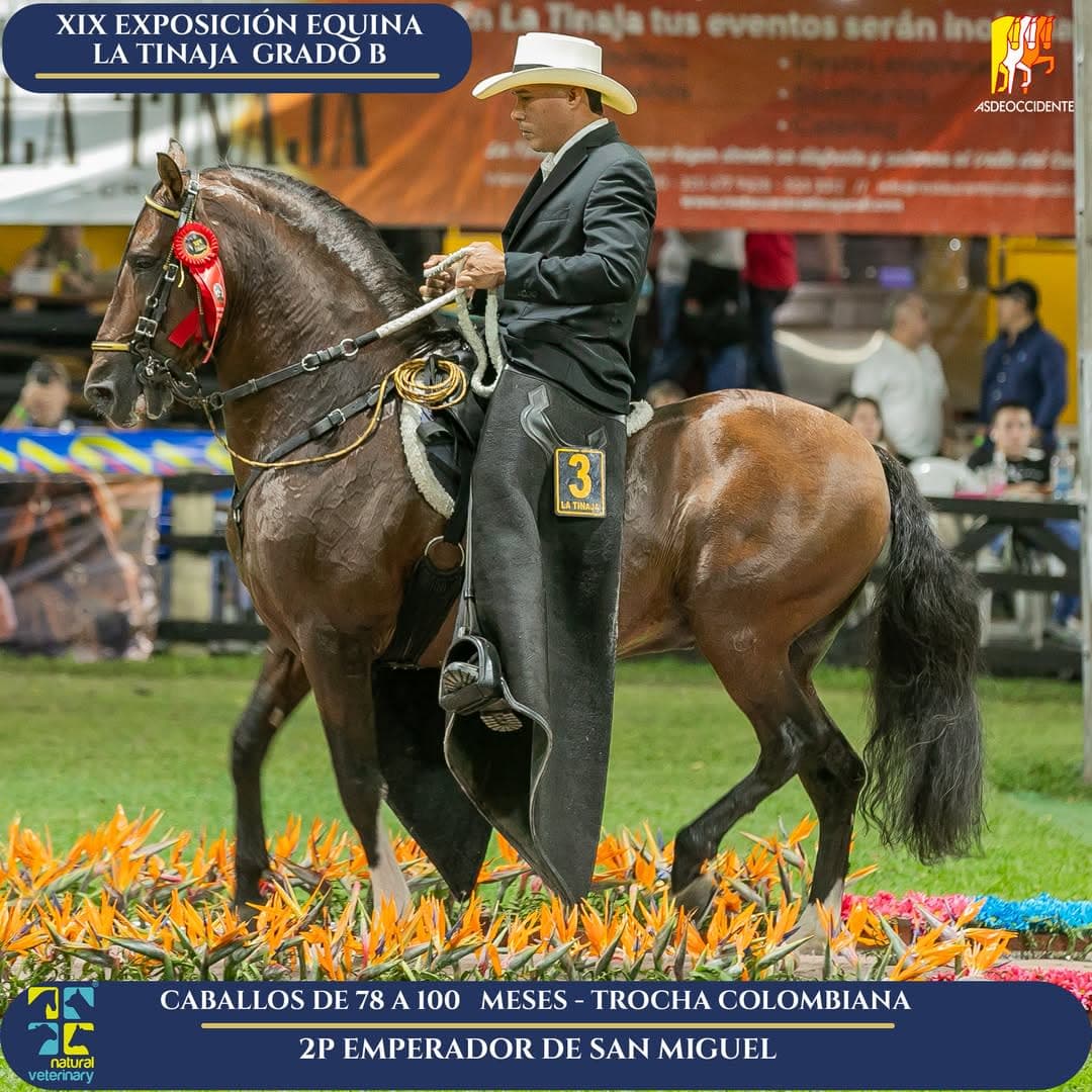 Emperador de San Miguel