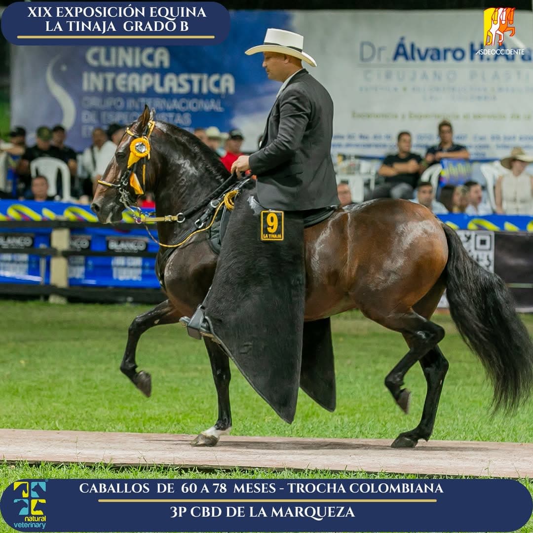 CBD de la Marqueza