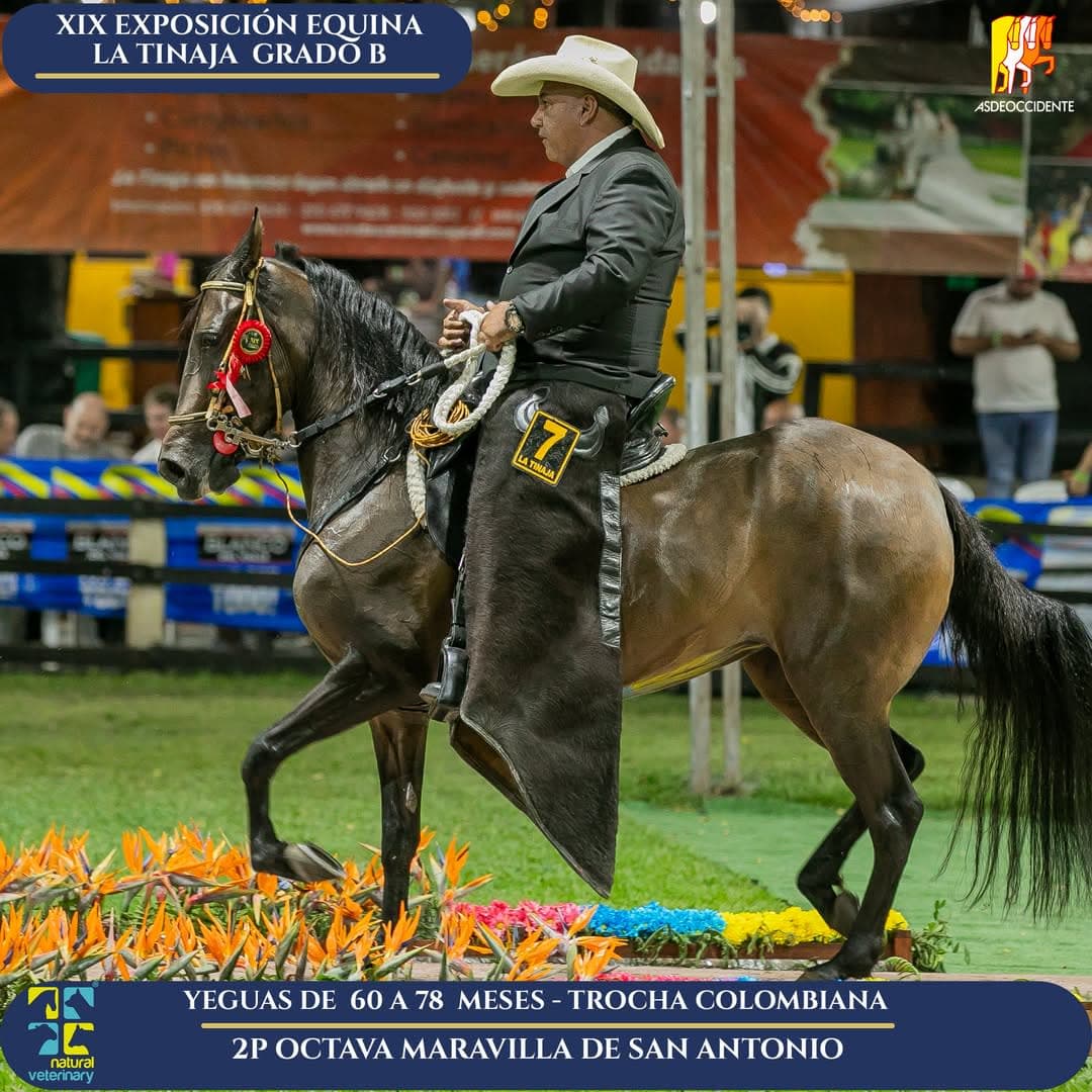 Octava Maravilla de San Antonio