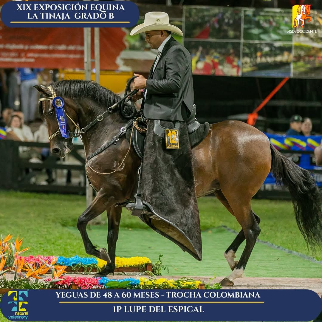 Lupe del Espical