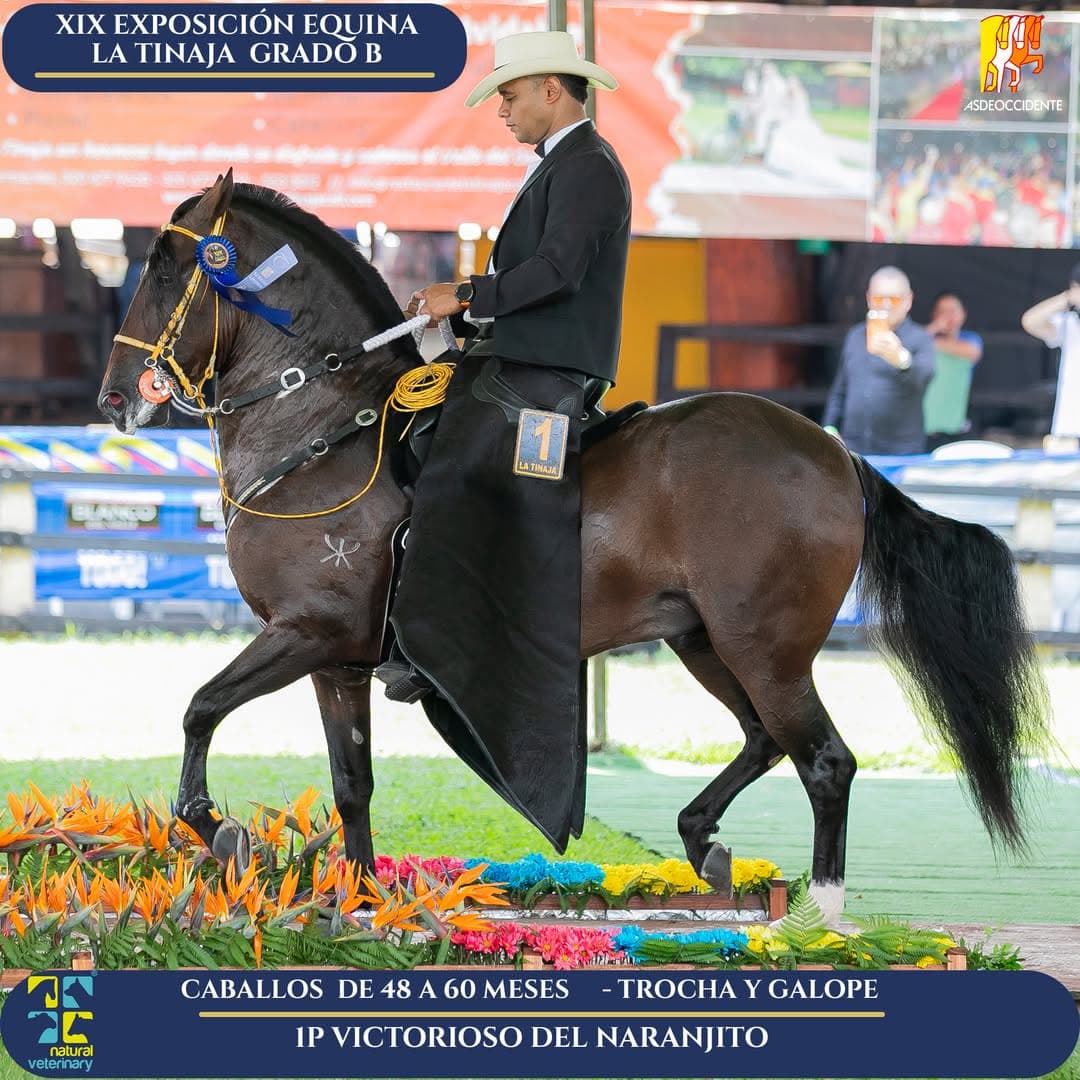 Victorioso del Naranjito