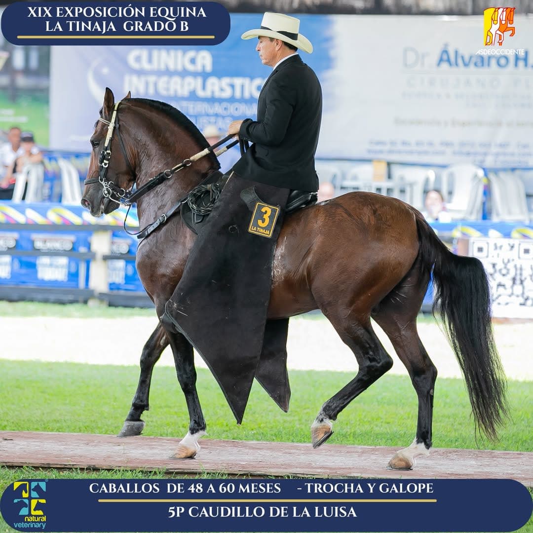 Caudillo de la Luisa