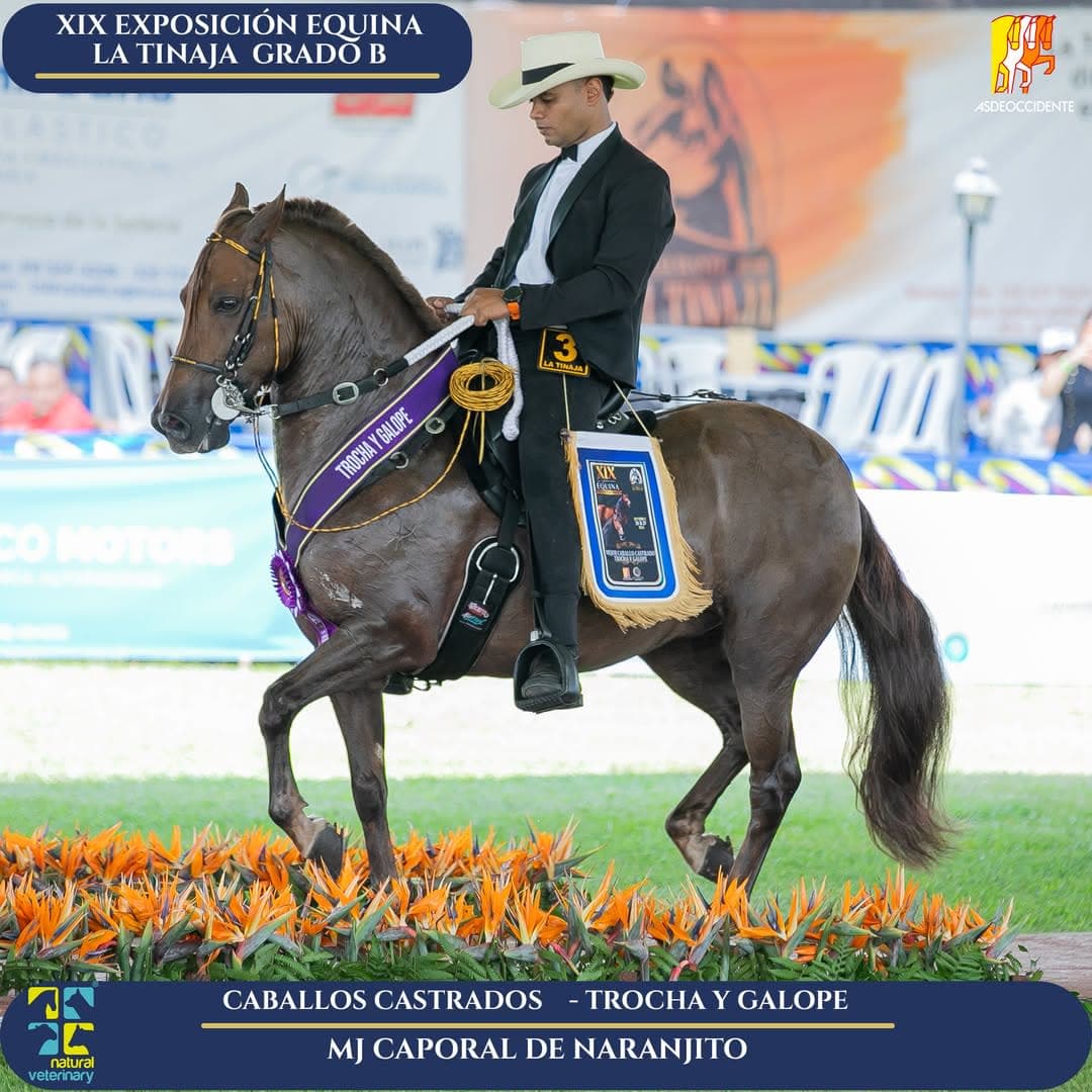 Caporal de Naranjito