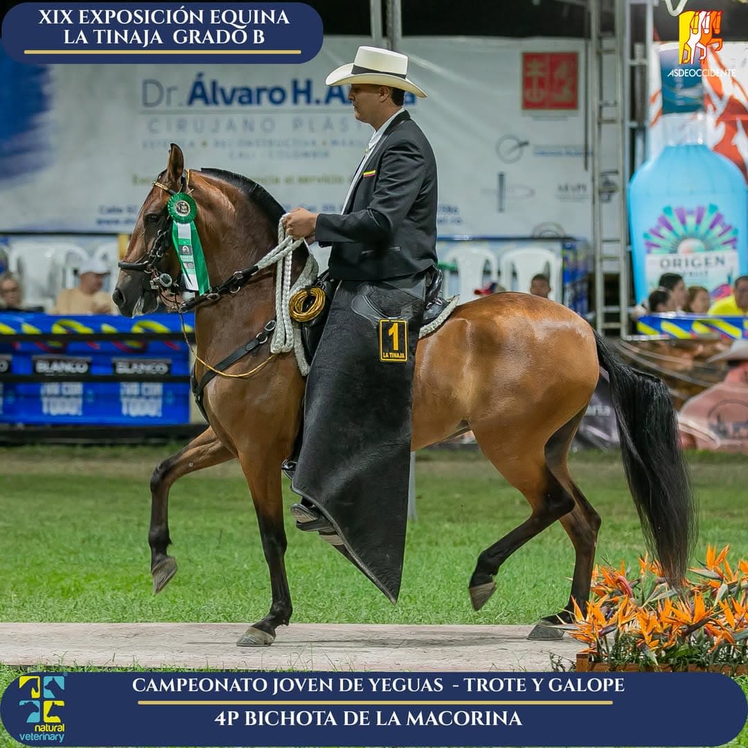 Bichota de la Macorina