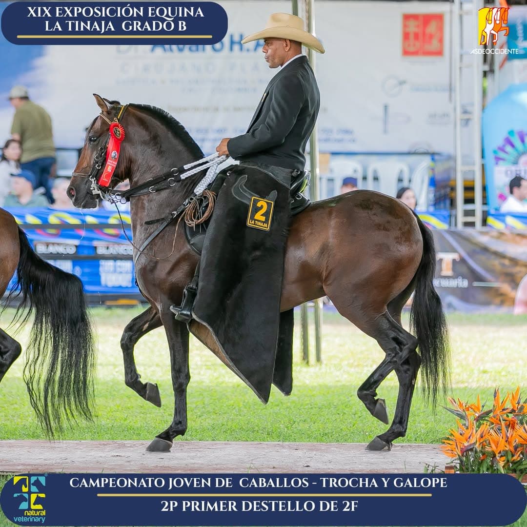 Primer Destello de 2F