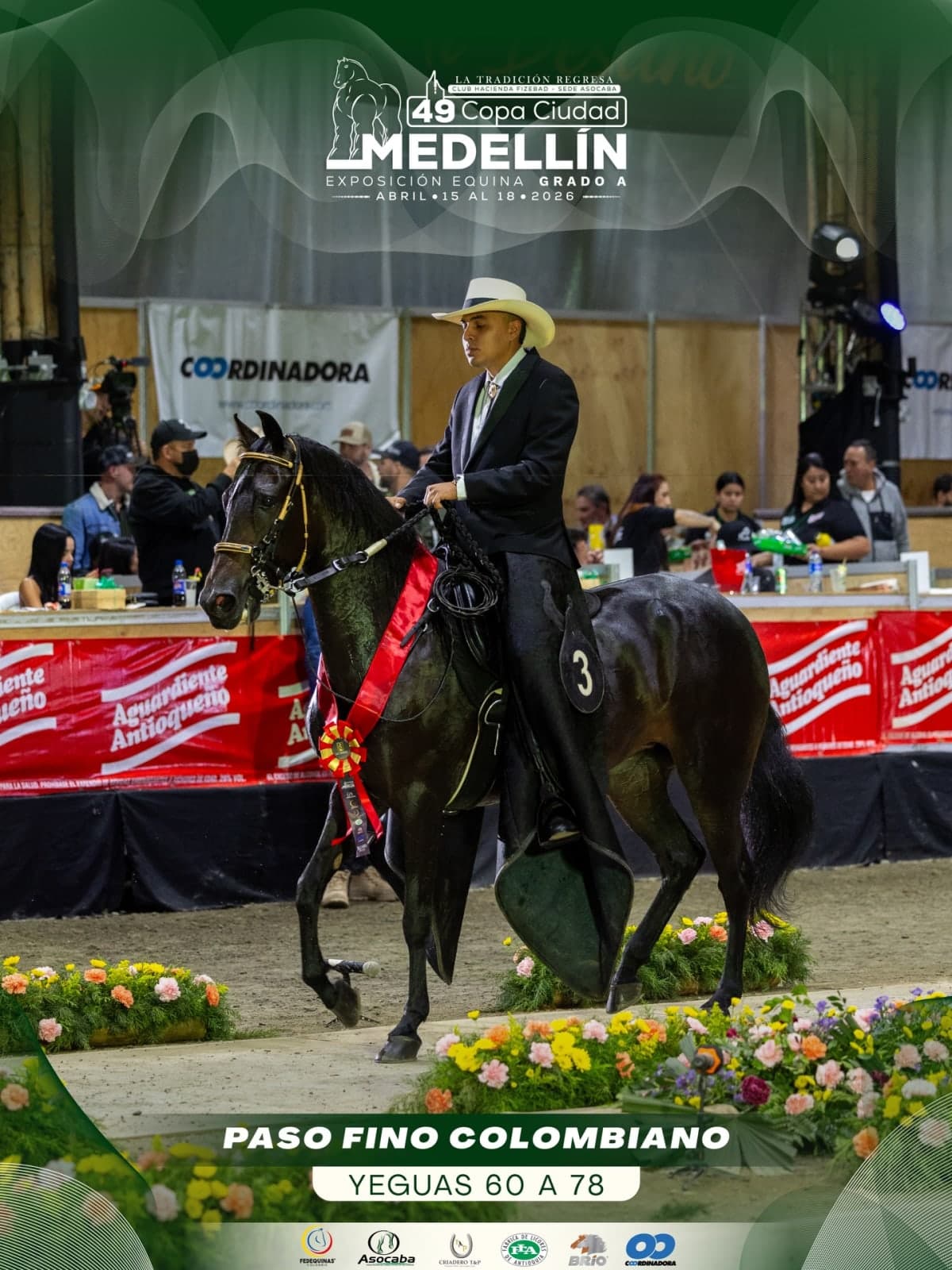 Rosita Mística de Villa del Suroeste