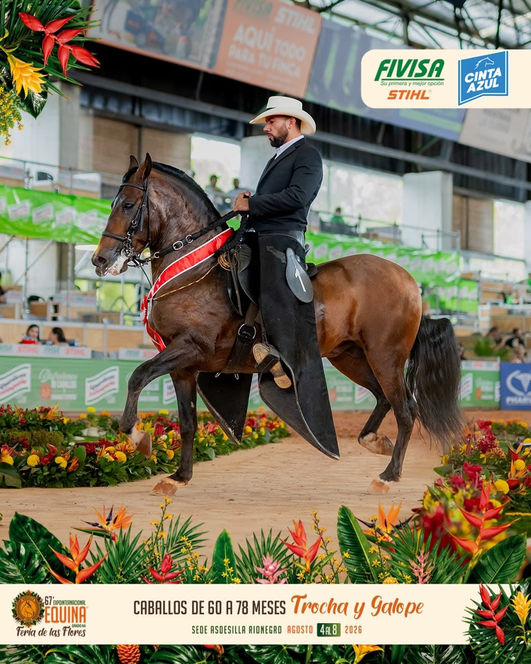 Furor de Rancho San Juanito