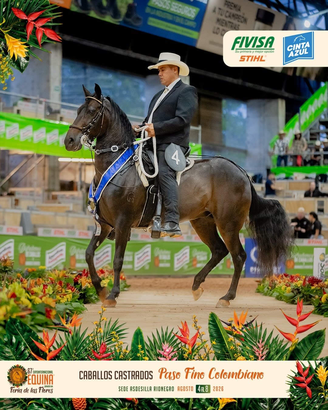 Mistico del Encanto