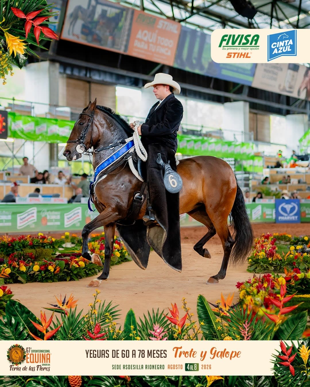 Bichota de CDM