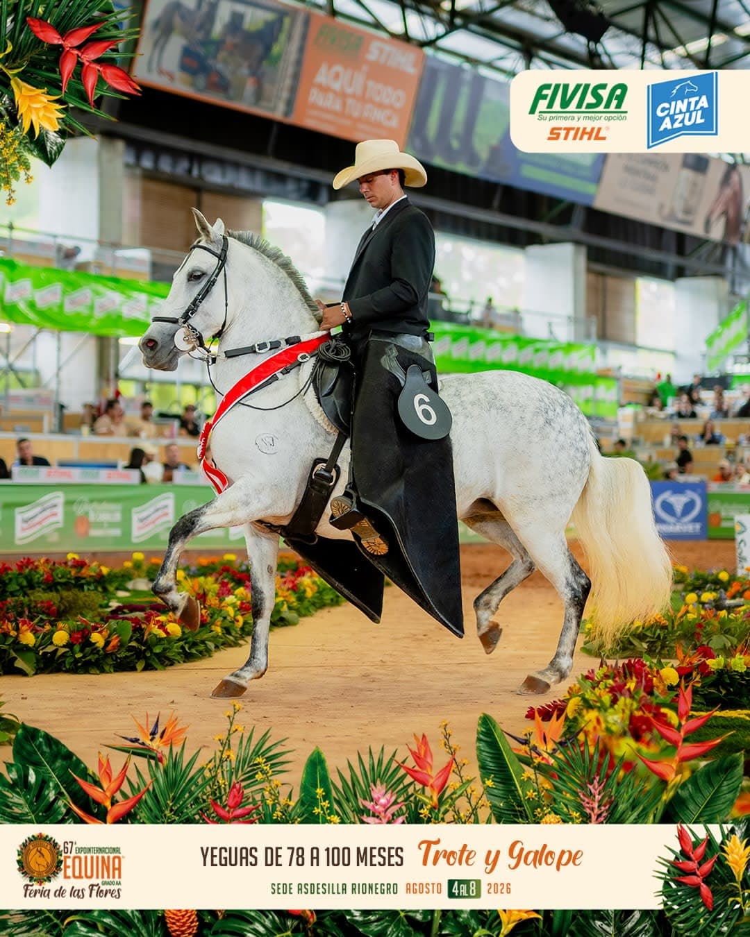 Designada de Camauma