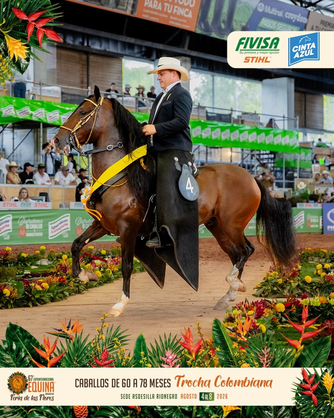 Principe de Principes del Mirador de los Caballos