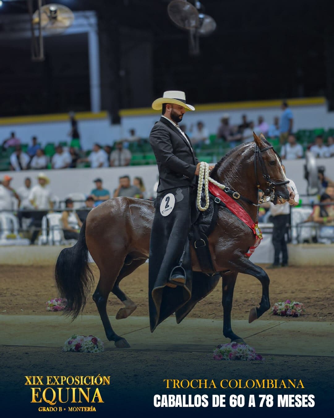 Rey Caribe de la Estrella