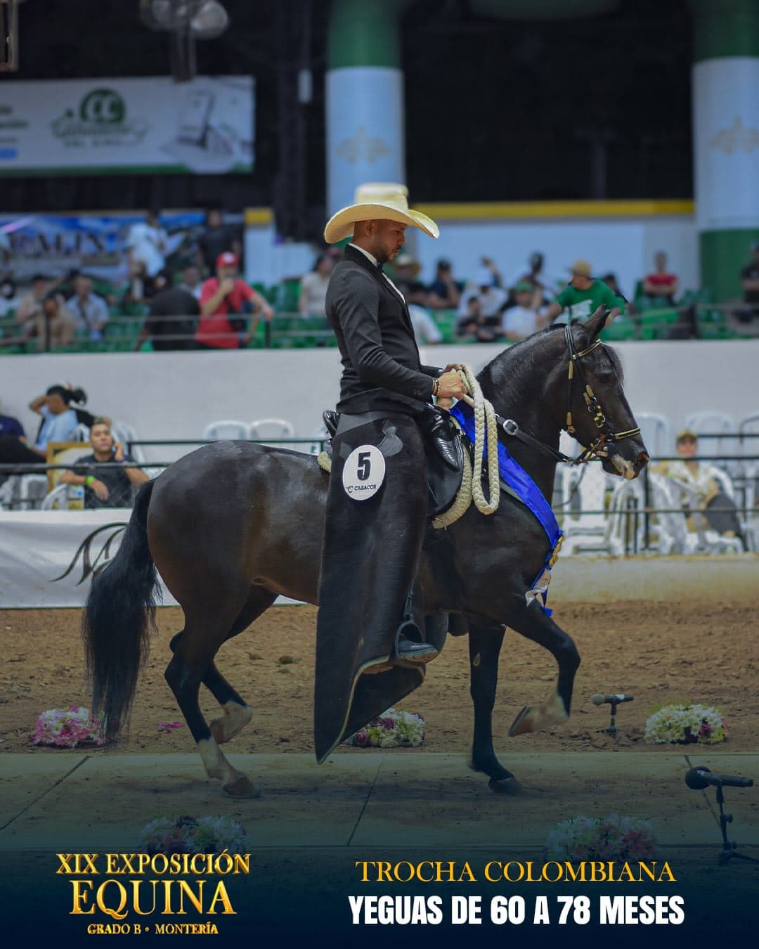 Furia de María C