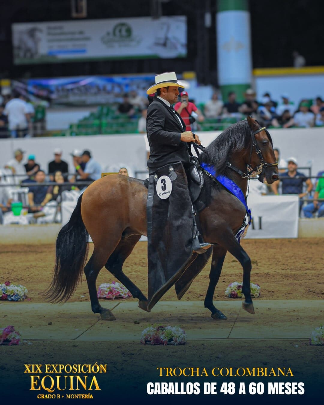 Pachanguero de Buenos Aires