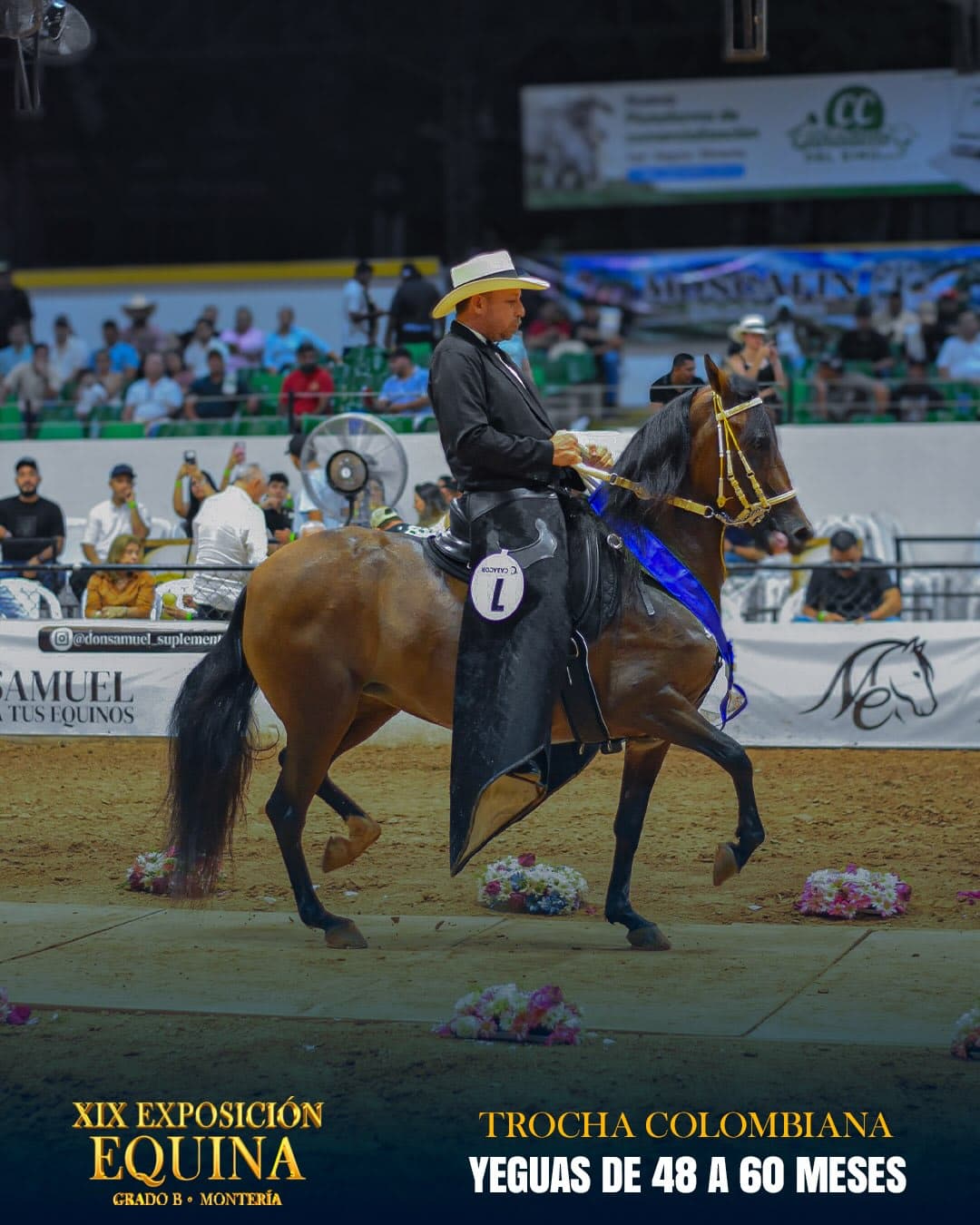 Revancha del Milagro de Aguas Vivas