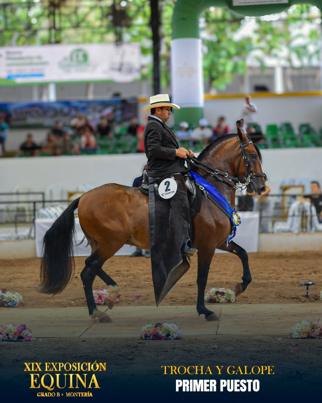 Ciro el Grande de Veracruz