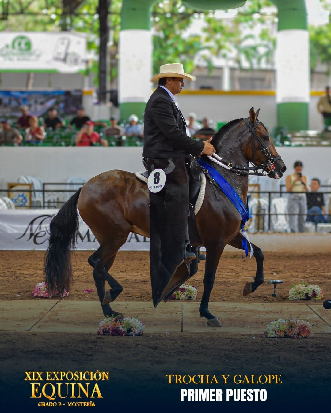 Alma Bravía de Villa Rosa