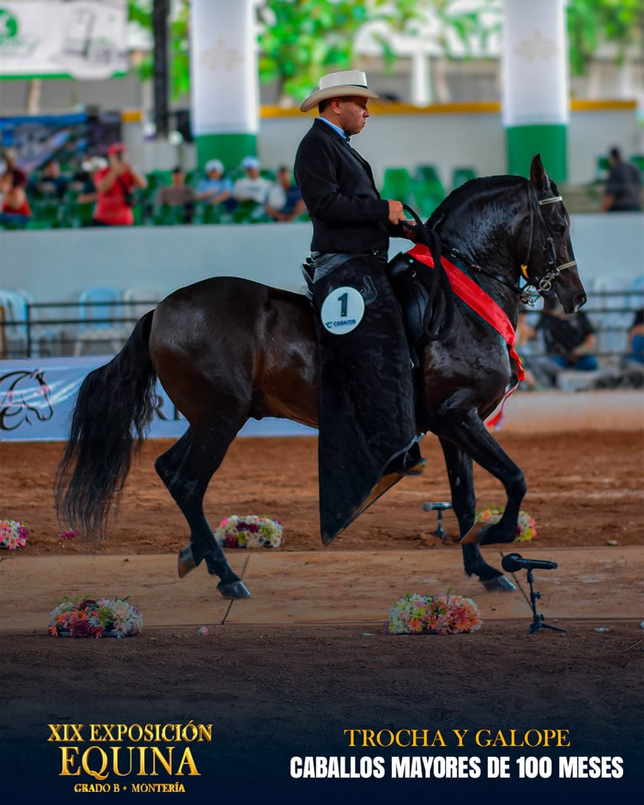 Sócrates de San Cayetano