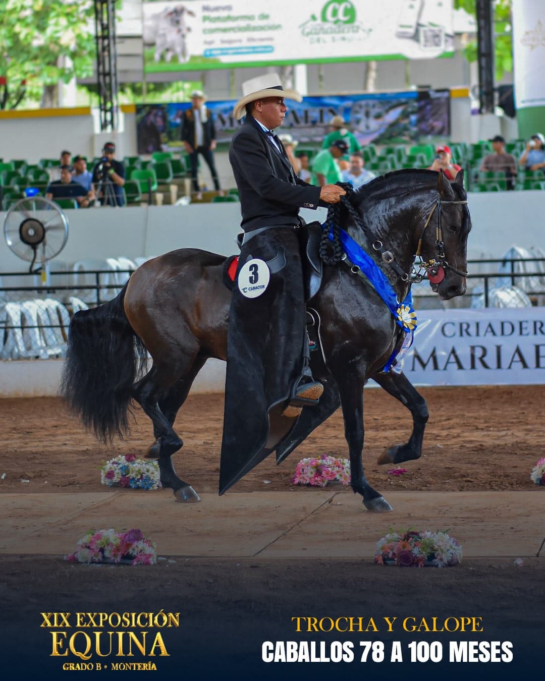 Caprichoso del Rancho G