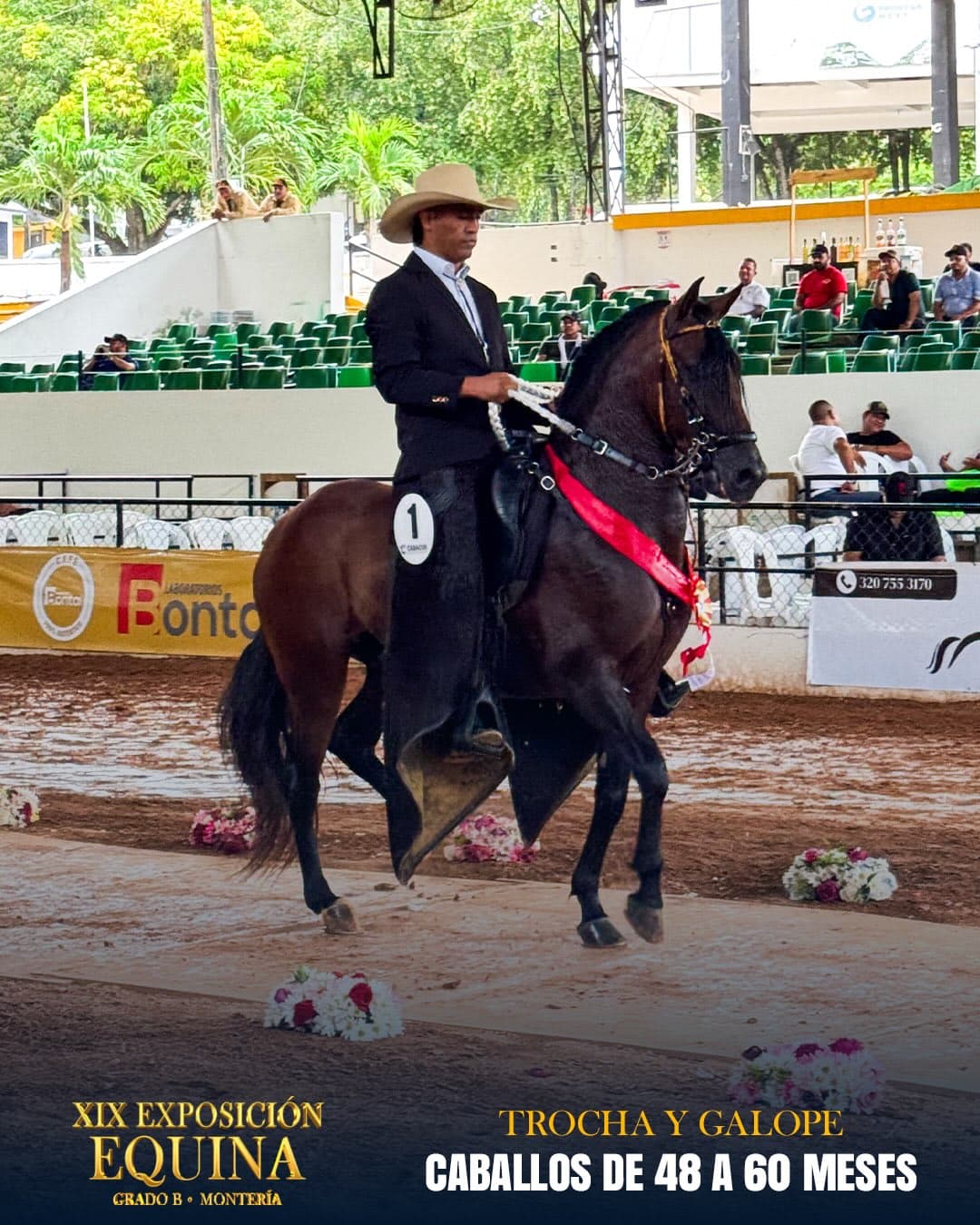 Apolo de los Ángeles
