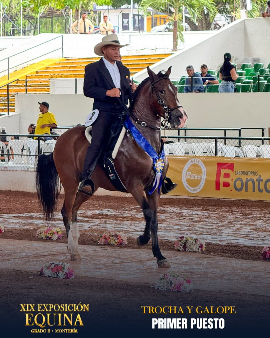 Fantástico de la Candelaria