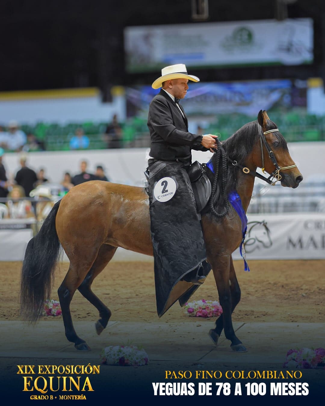 Maravillosa de San Cayetano