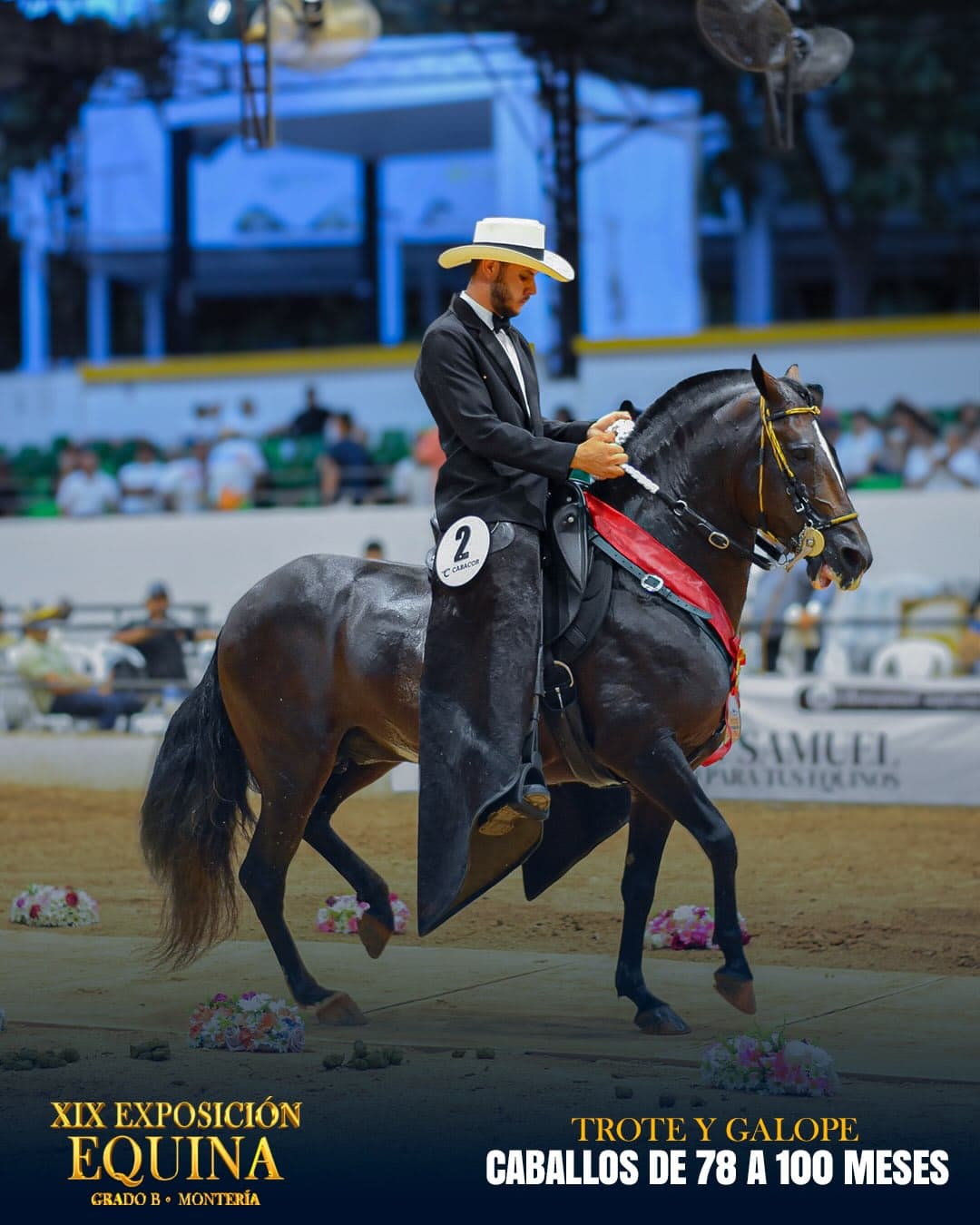 Sultán de la Argentina