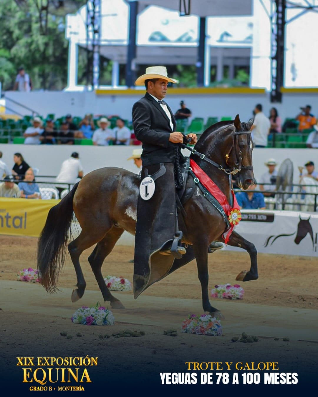 Elegancia de Sacramento