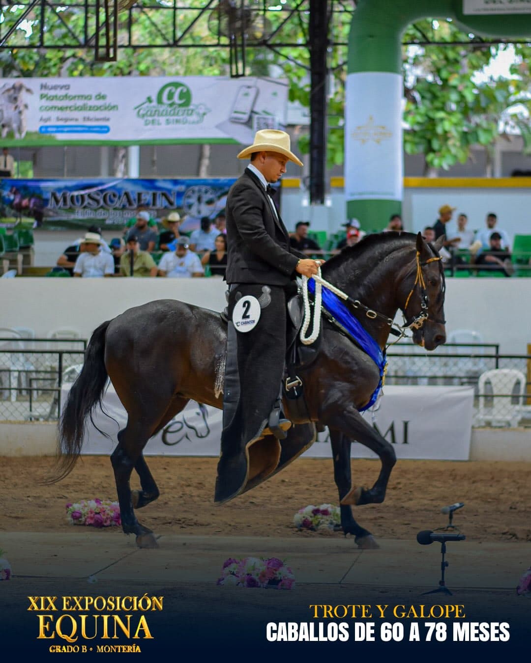 Arkano de la Loma