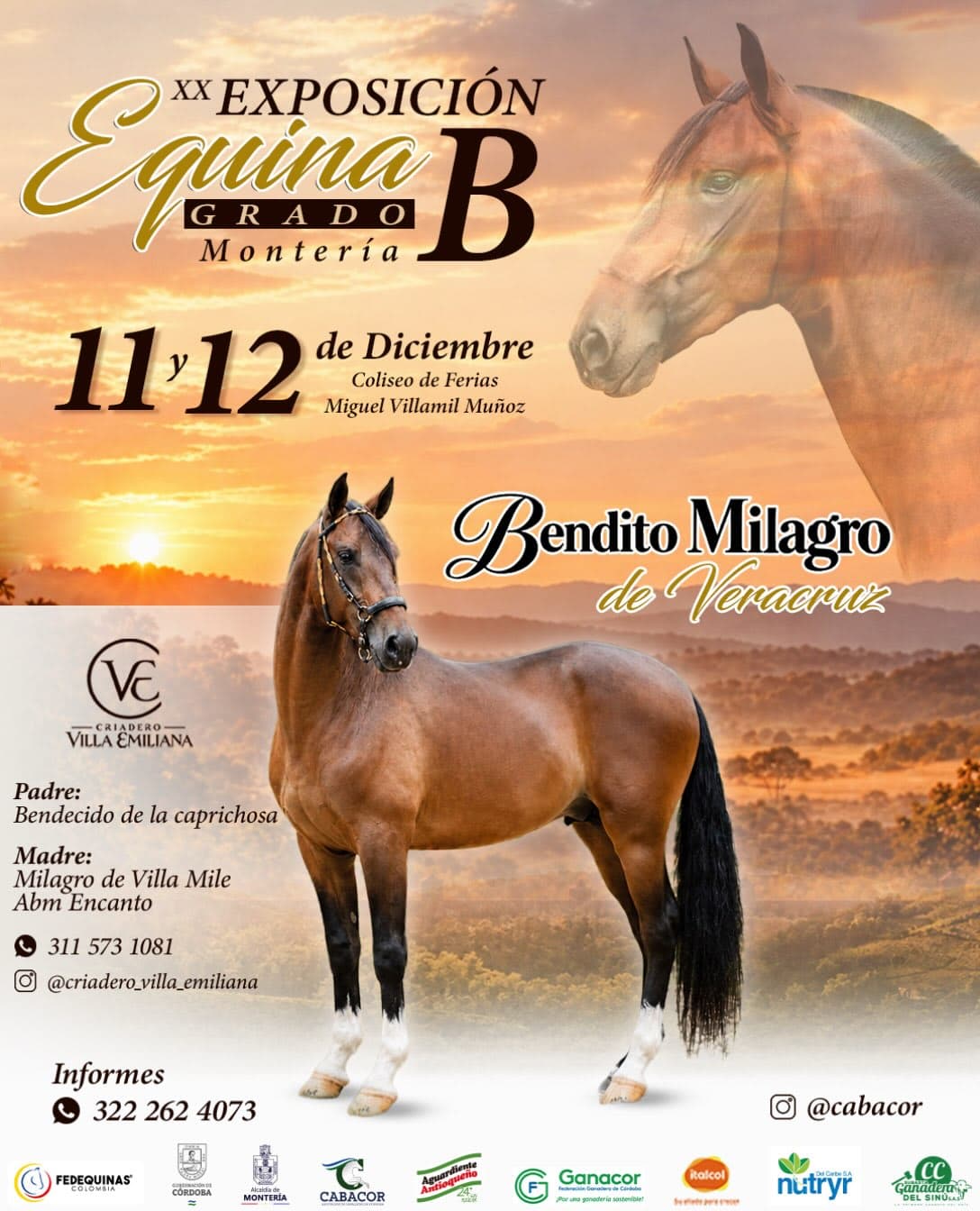 XX Exposición Equina Grado B Montería 2026