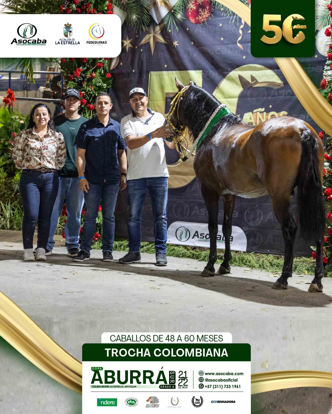 Atrapasueños De Villa Sofía