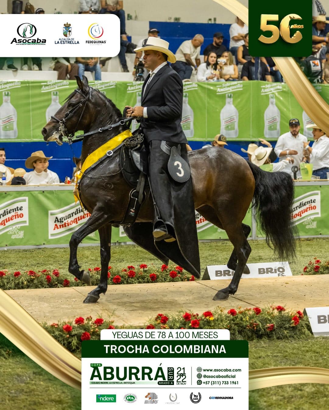 Navidad De La Gloria