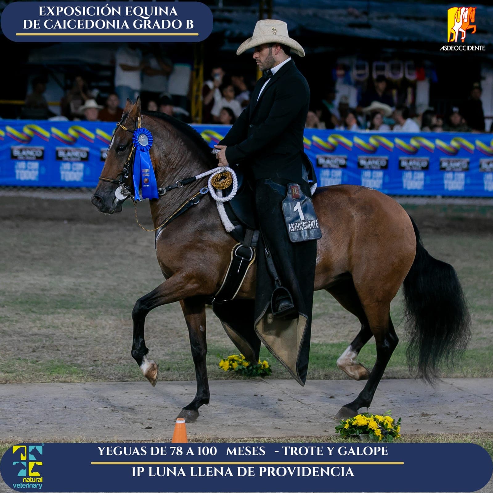 Foto de Luna Llena de Providencia, Yegua, Criollo Colombiano, Trote y Galope (P1)
