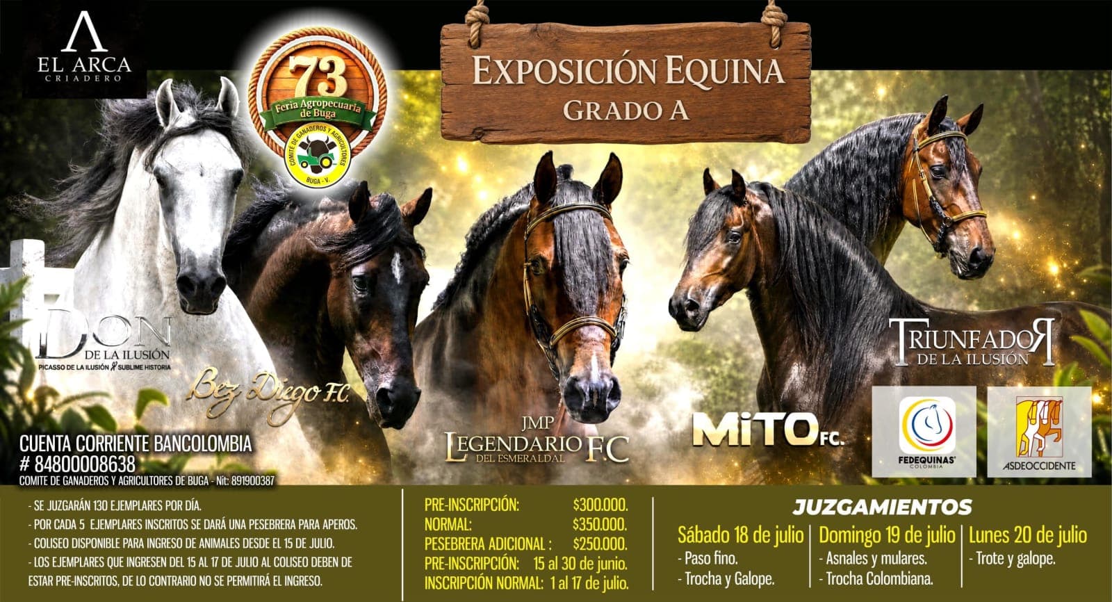 Exposición Equina Grado A Buga 2026