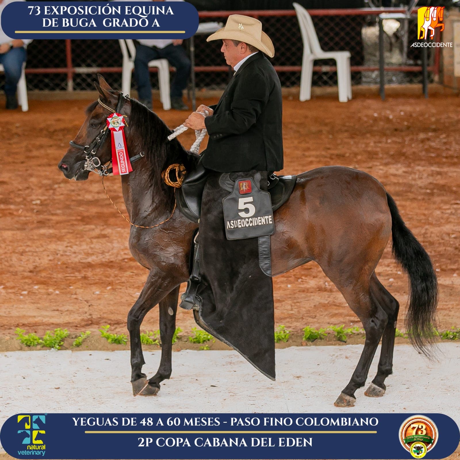 Foto de Copa Cabana del Eden, Yegua, Criollo Colombiano, Paso Fino Colombiano (P4)