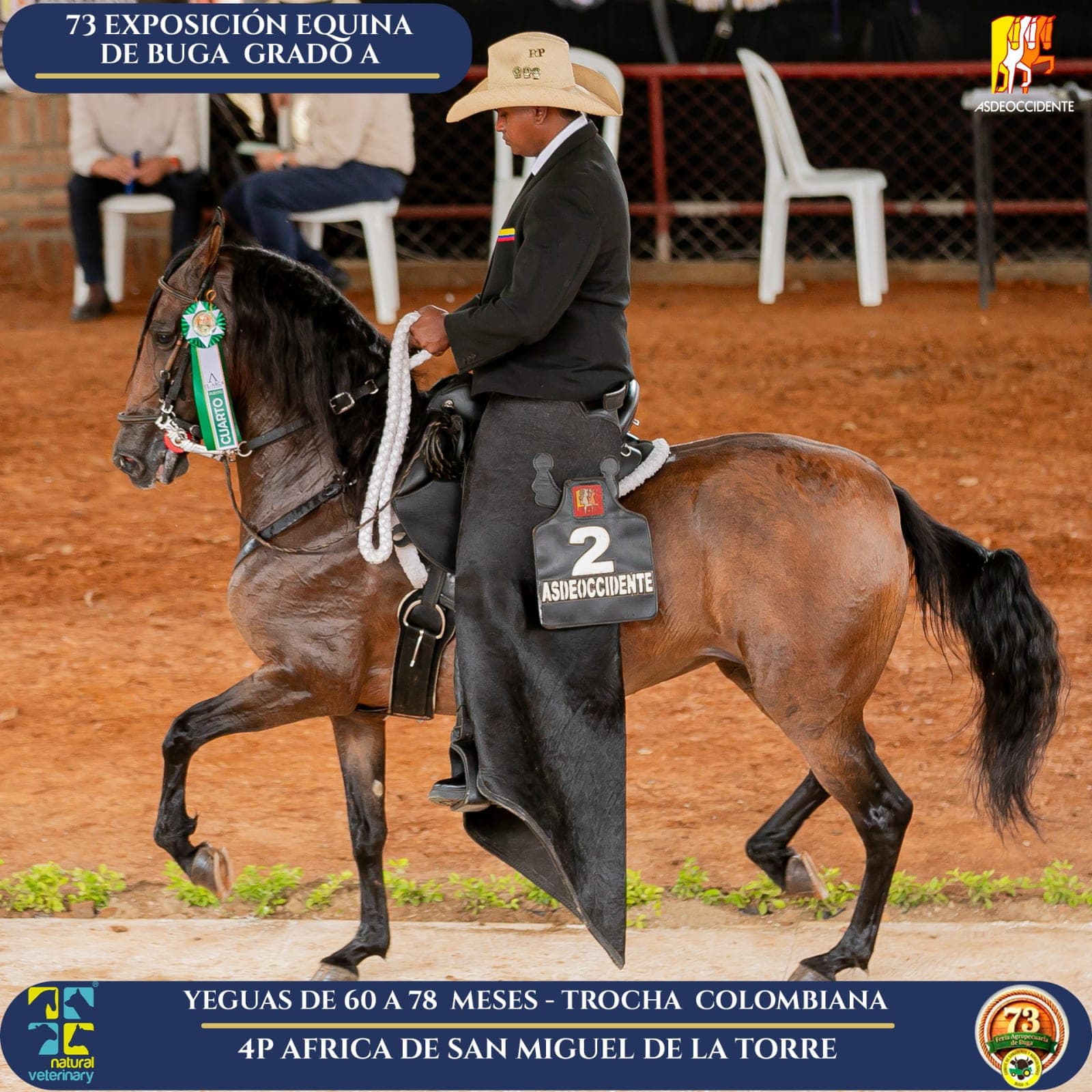 Foto de Africa de San Miguel de la Torre, Yegua, Criollo Colombiano, Trocha Pura Colombiana (P3)