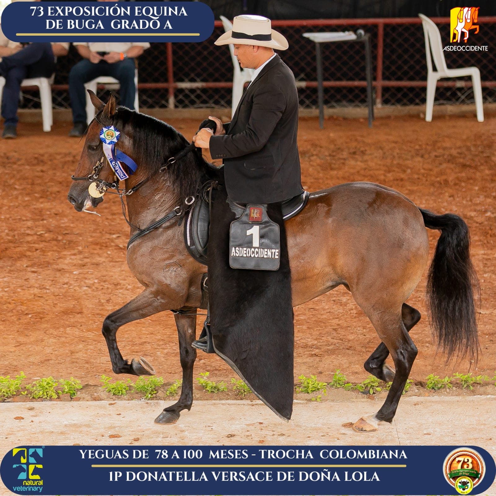 Foto de Donatlla Versace de Doña Lola, Yegua, Criollo Colombiano, Trocha Pura Colombiana (P3)